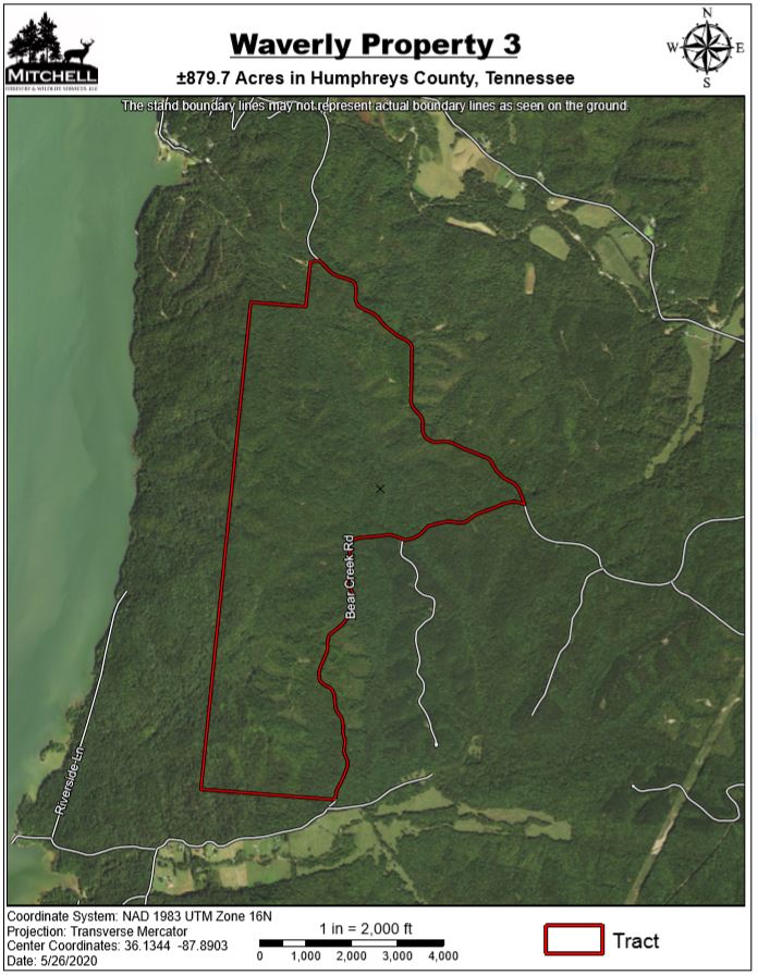 Waverly 3 Mitchell Forestry