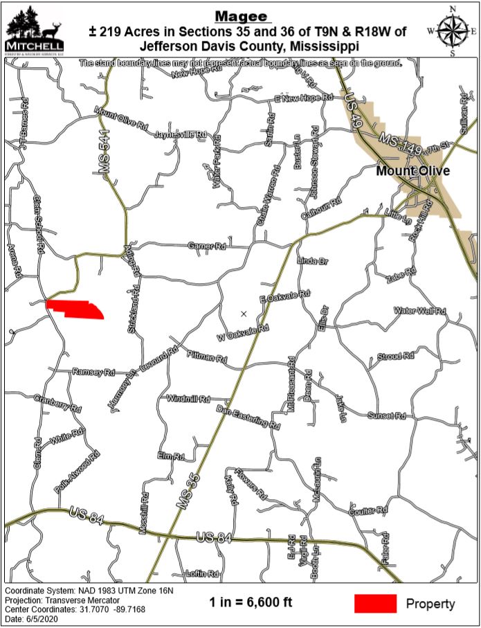 Magee Tract Mitchell Forestry