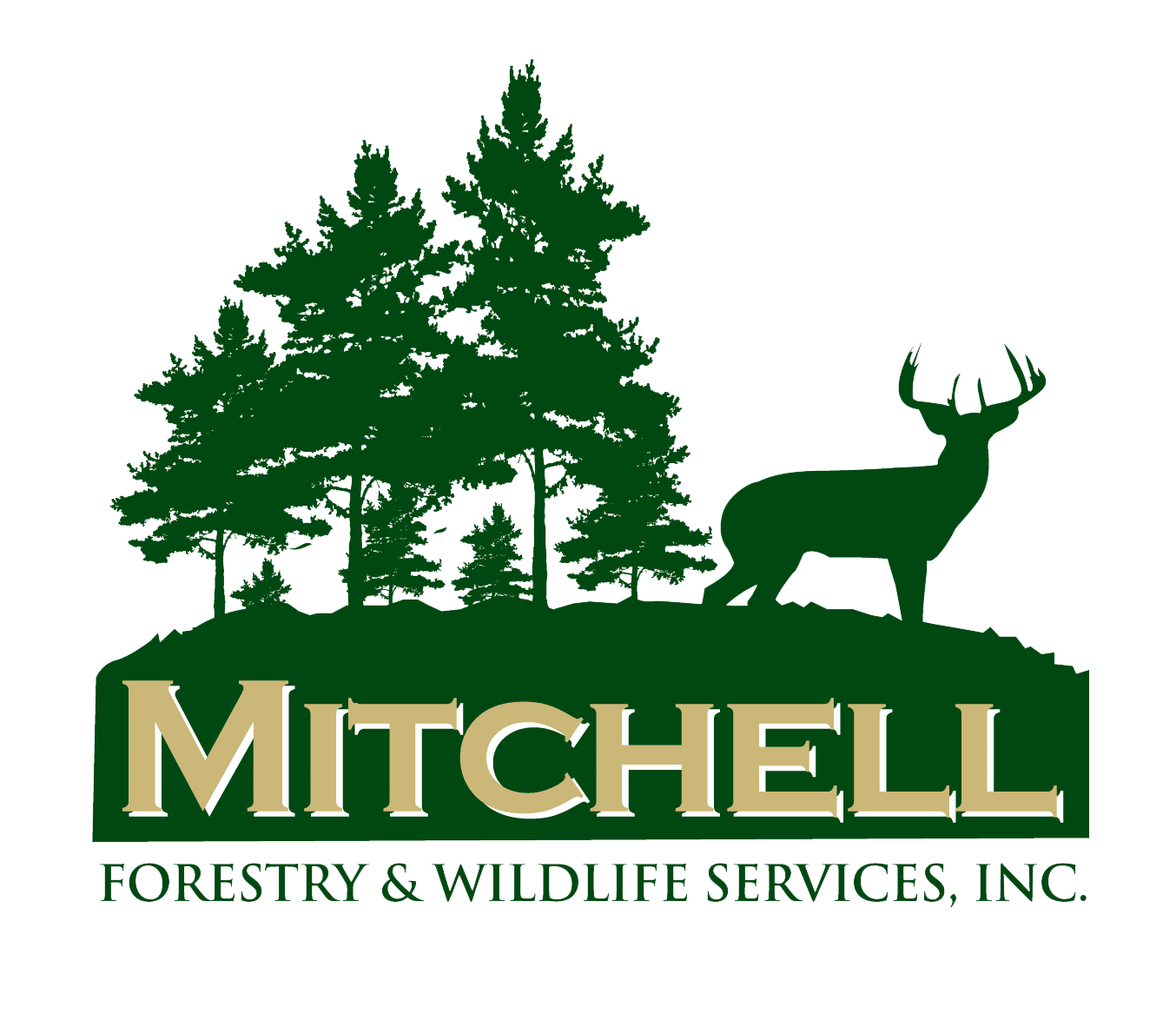 Thank You Mitchell Forestry