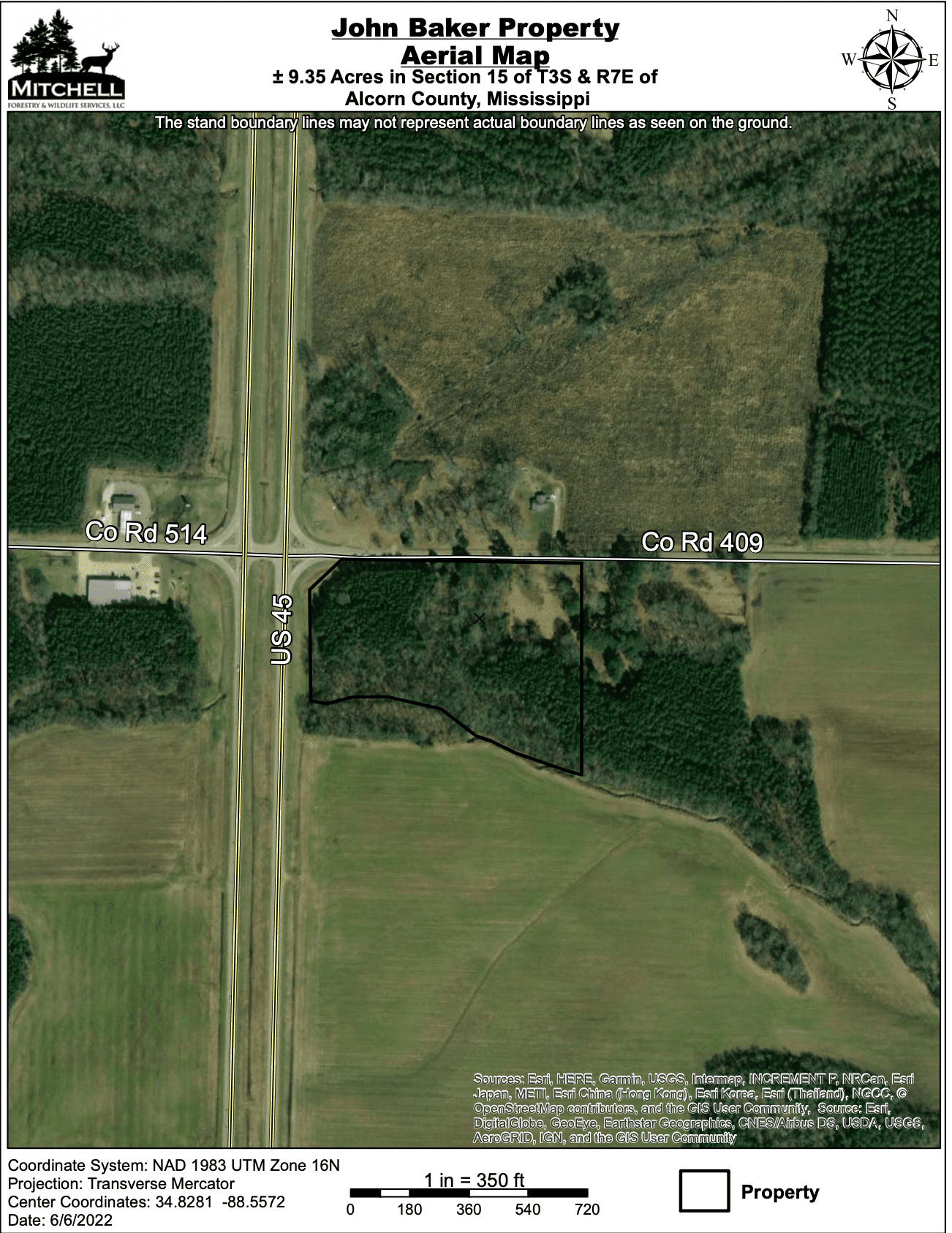 Mississippi timberland properties - maximizing timber income
