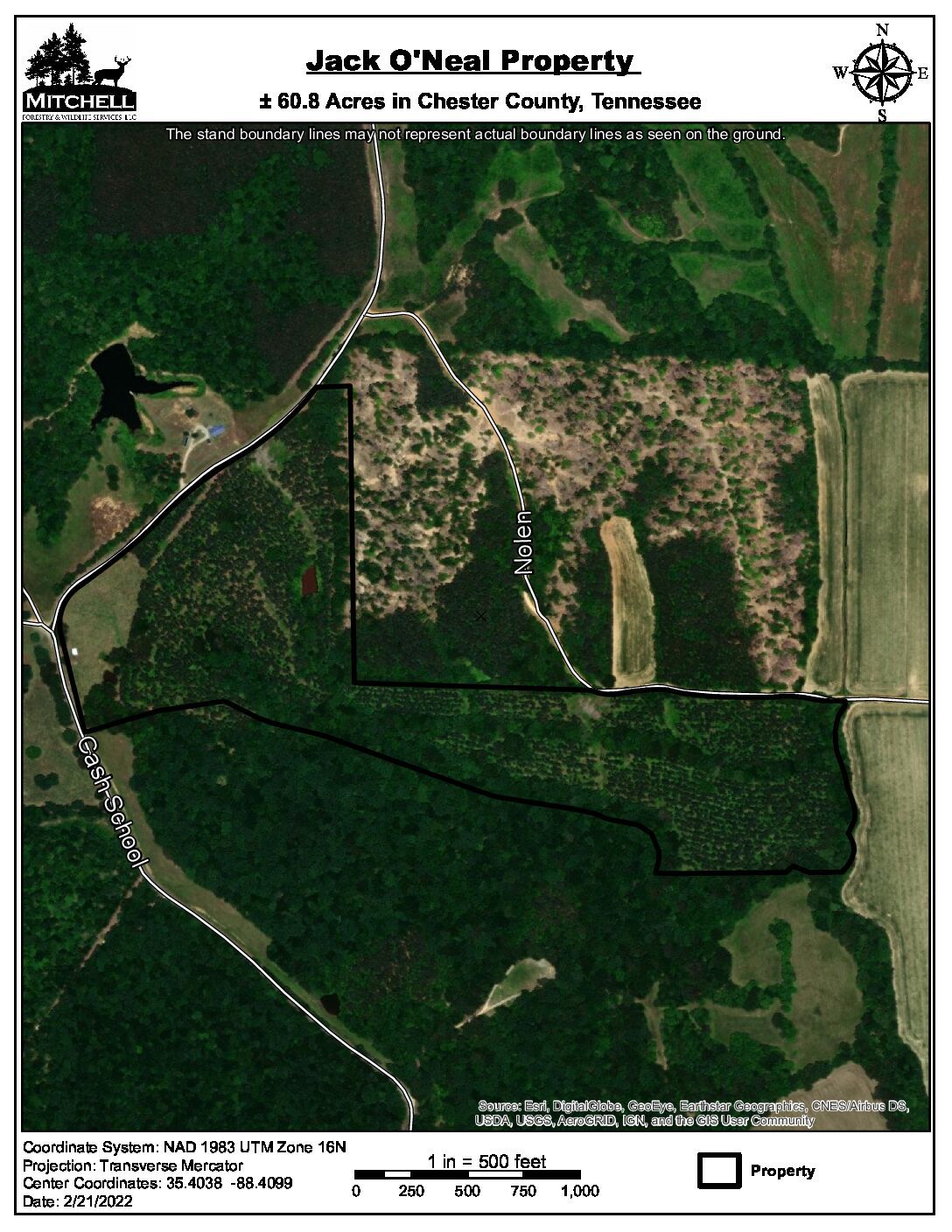 Tennessee Timberland Properties - Land for Sale