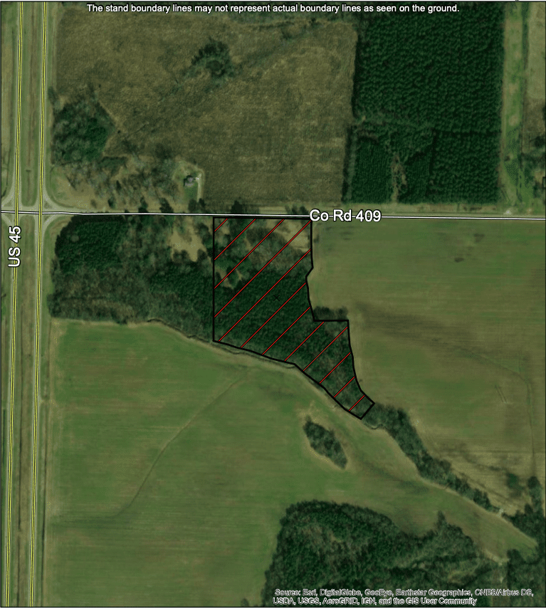 Mississippi Land for Sale - Timberland Properties