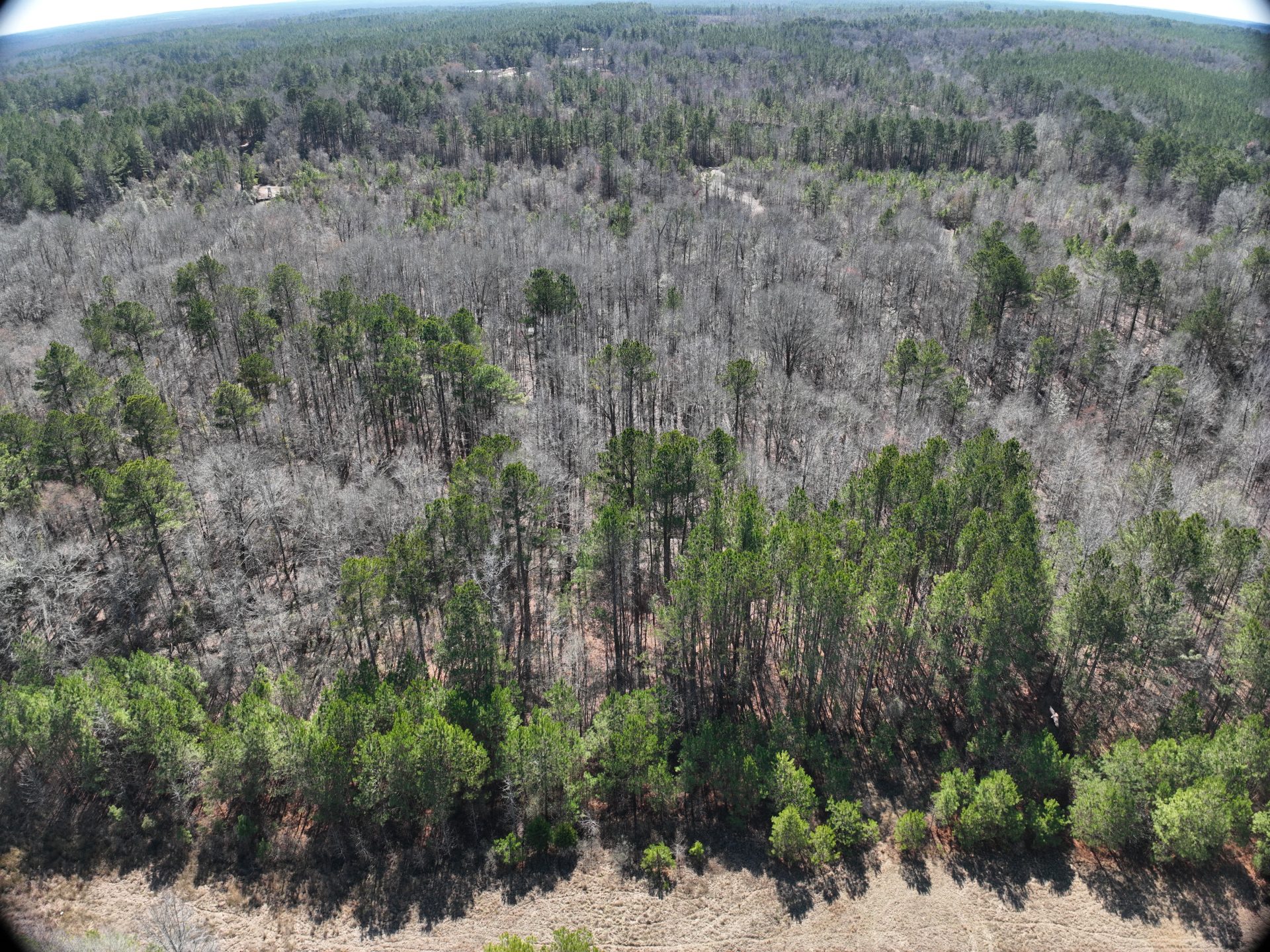 land real estate in mississippi
