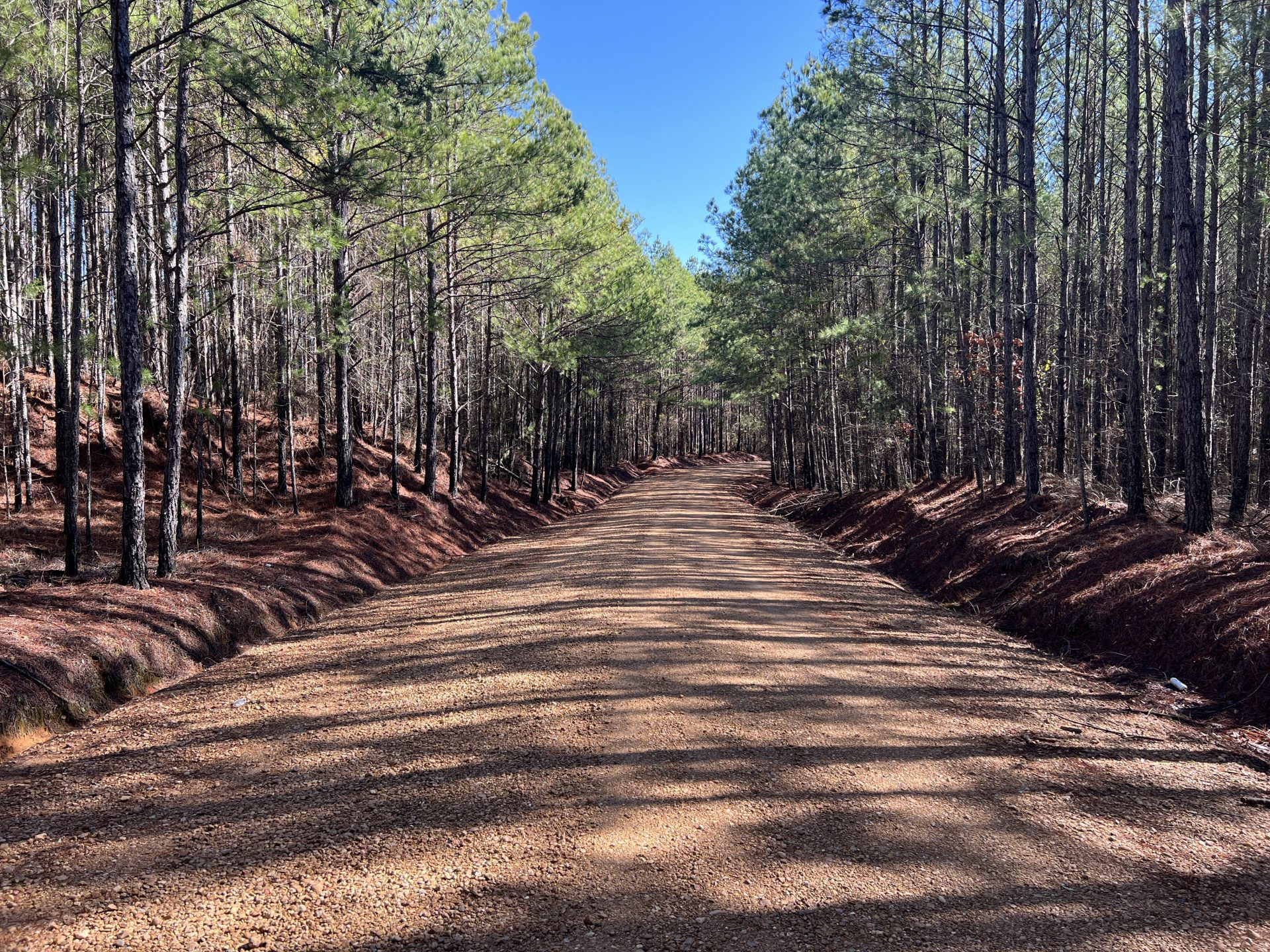 Attala County, Mississippi Land For Sale | Real Estate Services